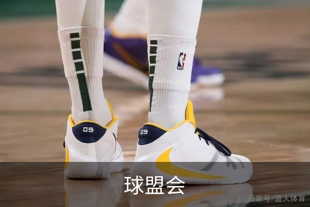 球盟会平台介绍图片